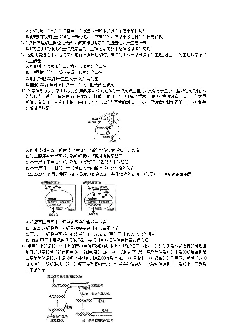 2026重庆市高三上学期12月高考模拟调研考试（一）生物含答案第3页