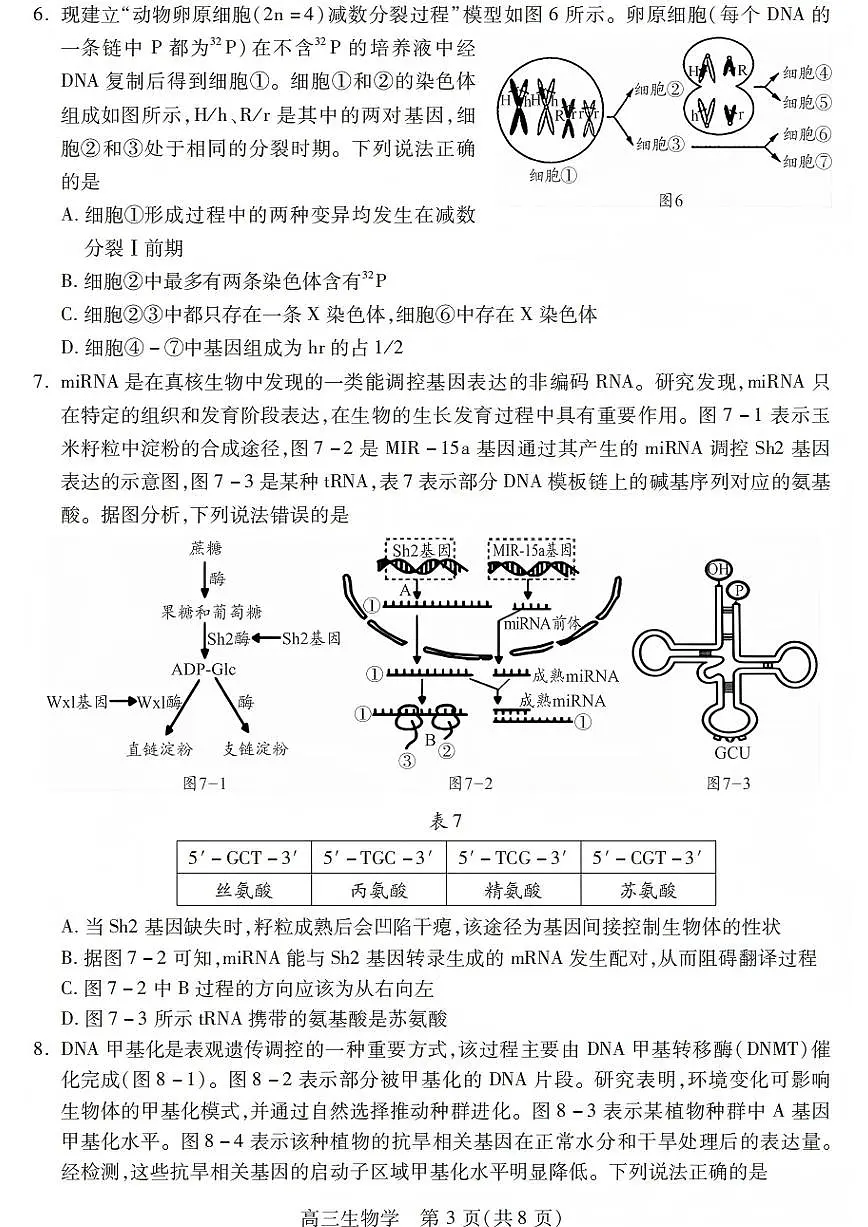 生物试卷第3页
