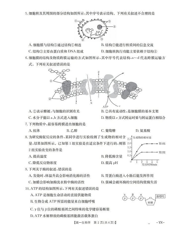 金太阳云南省2025-2026学年高一上学期12月联考生物试卷第2页