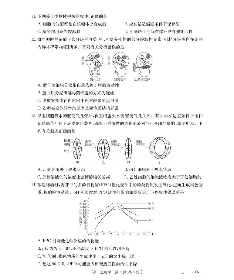 金太阳云南省2025-2026学年高一上学期12月联考生物试卷第3页