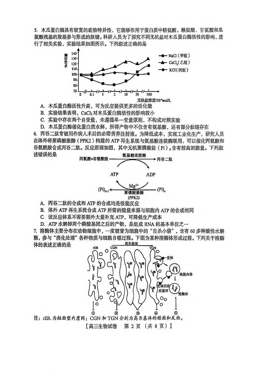 生物丨河南省三门峡市2026届高三上学期11月阶段性考试试卷及答案第2页