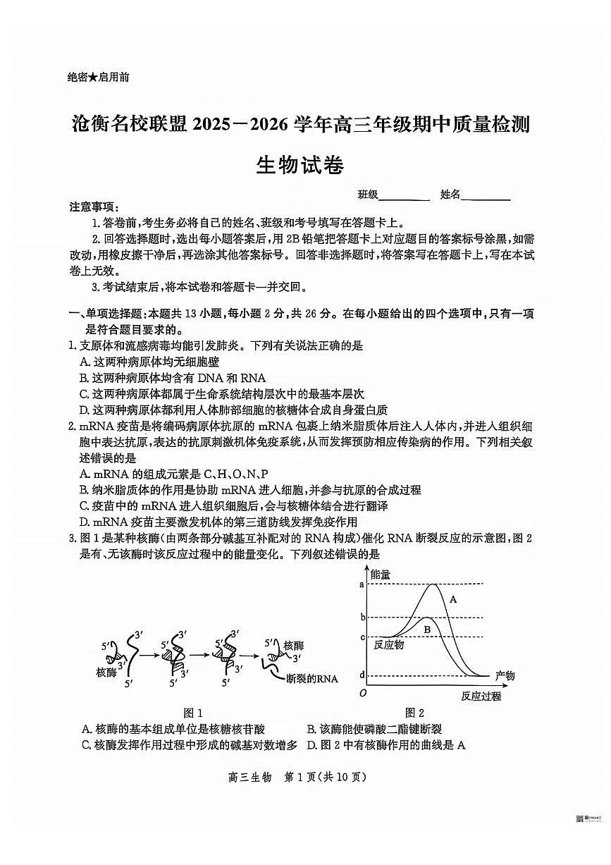 生物丨河北省沧衡名校联盟2026届高三上学期11月期中质量检测试卷及答案第1页