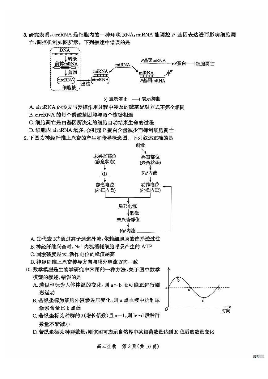 生物丨河北省沧衡名校联盟2026届高三上学期11月期中质量检测试卷及答案第3页