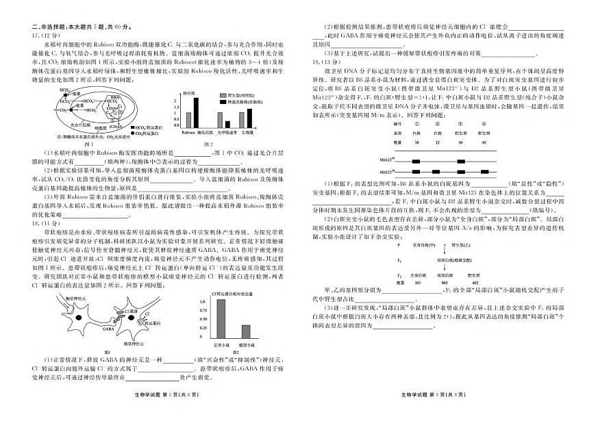 生物丨广东省衡水金卷2026届高三上学期11月联考试卷及答案第3页