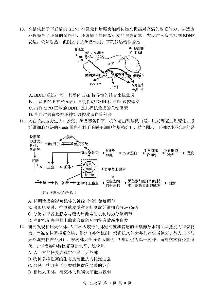 生物丨广东省深圳市2026届高三上学期11月第一次模拟联测试卷及答案第3页