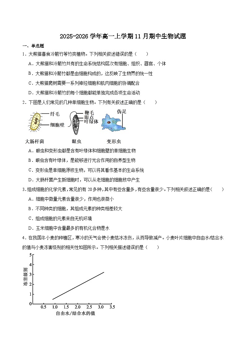 河北省邢台市质检联盟2025-2026学年高一上学期11月期中考试生物试题（Word版附答案）第1页