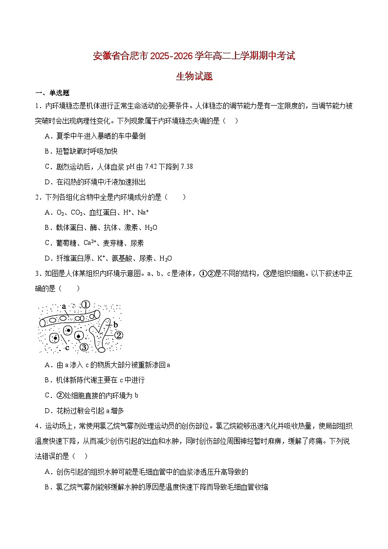安徽省合肥市2025_2026学年高二生物上学期11月期中测试第1页