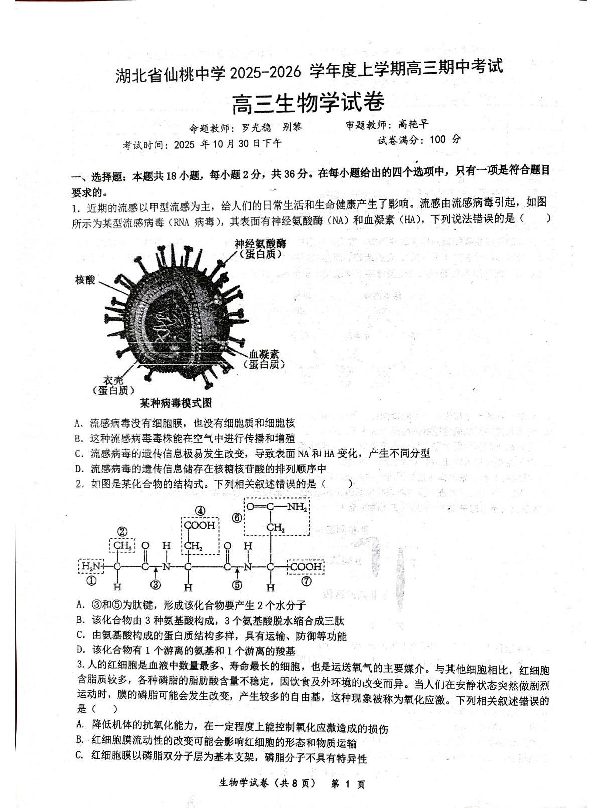 生物丨湖北省仙桃中学2026届高三上学期11月期中考试试卷及答案第1页