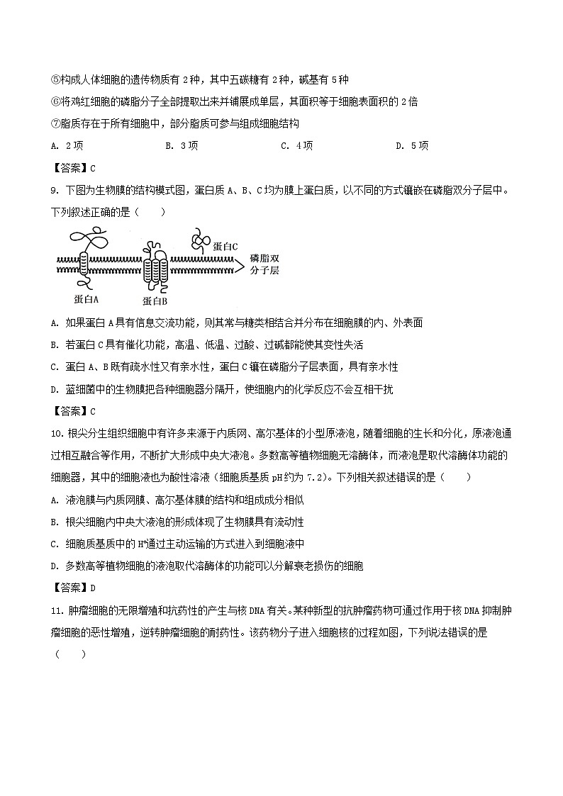 山东省德州市五校2025-2026学年高一上学期11月期中联考生物试题（Word版附答案）第3页