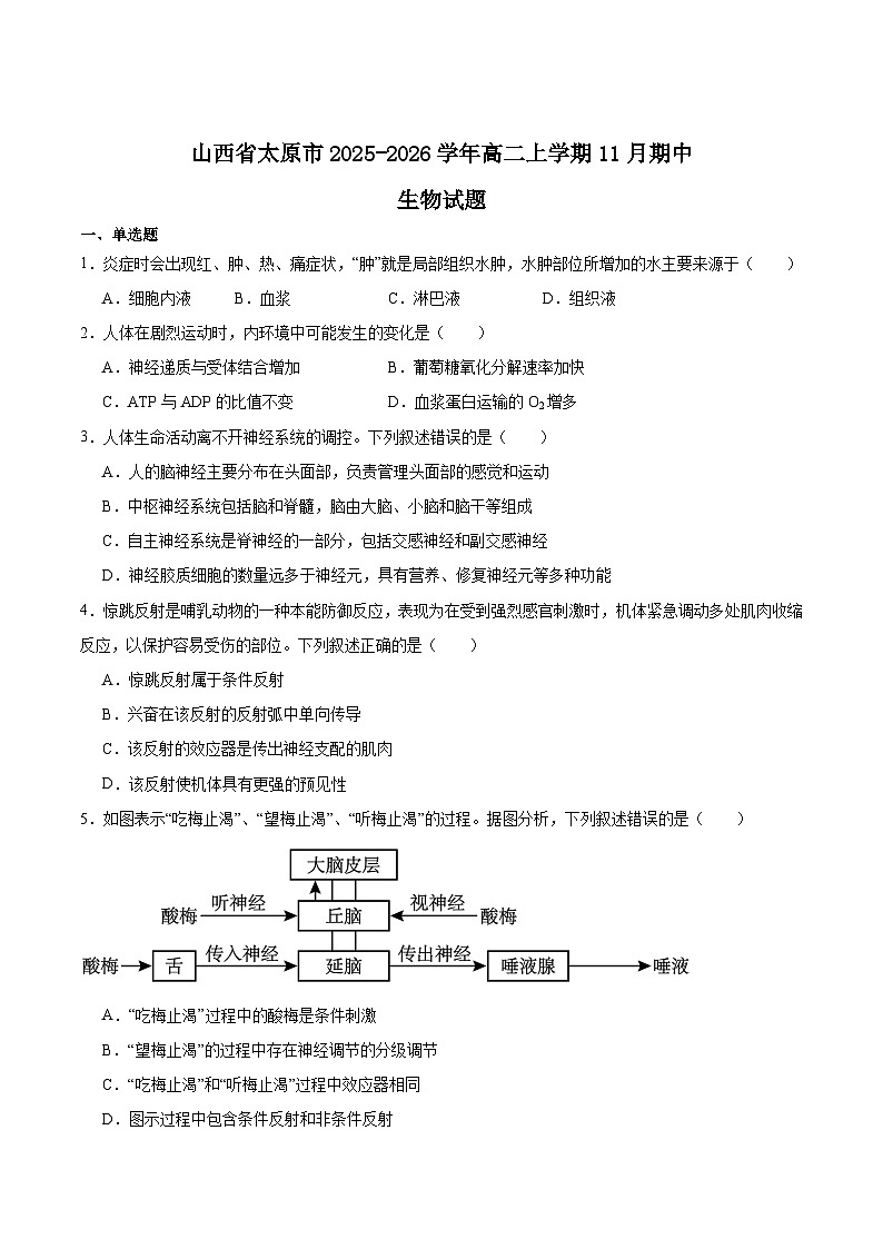 山西省太原市2025-2026学年高二上学期期中考试生物试题（Word版附答案）第1页