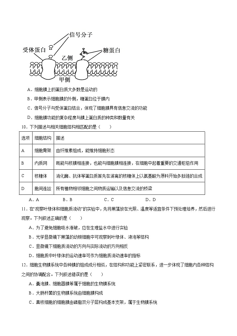 陕西省安康市2025-2026学年高一上学期期中联考生物试题（Word版附答案）第3页