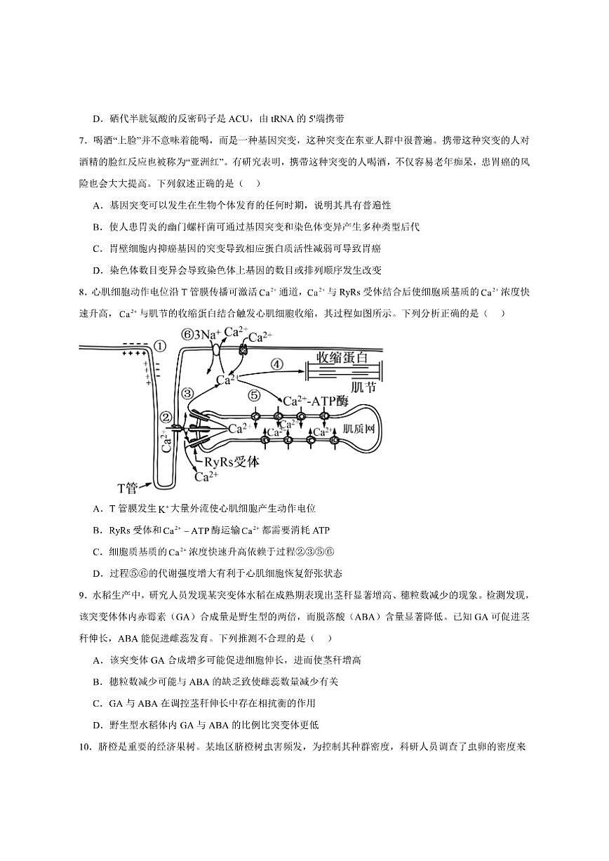 2026届河北省沧州市肃宁县第一中学高三一模生物试题（有答案）第3页