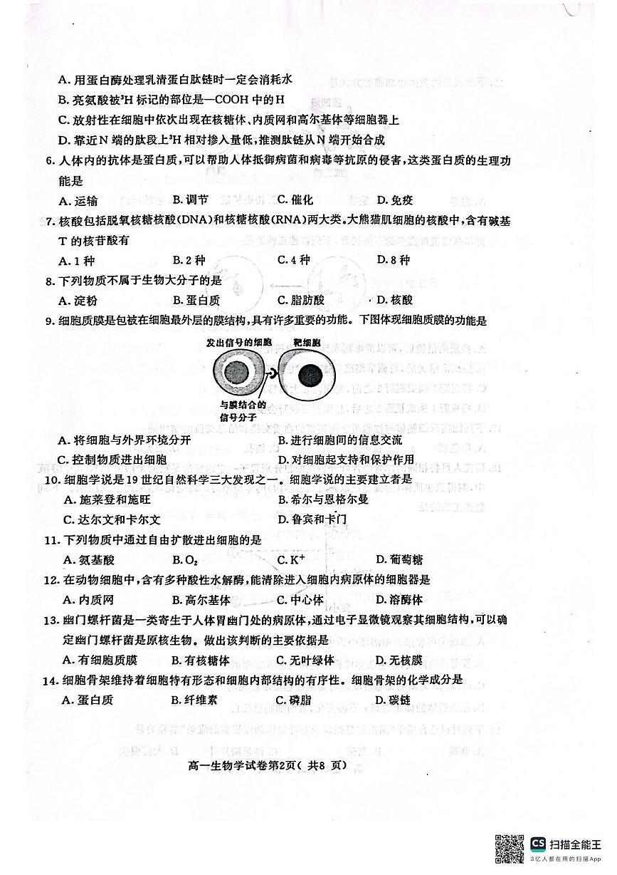 江苏省南京市2024-2025学年高一上学期1月期末学情调研测试生物试题第2页