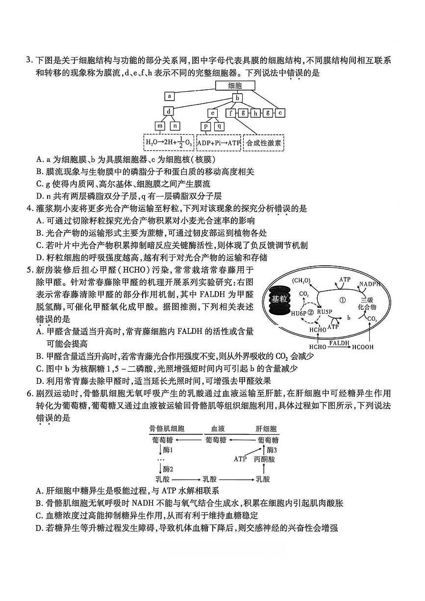 2026届重庆市沙坪坝区重庆市南开中学校高三一模生物试题（高考模拟）第2页
