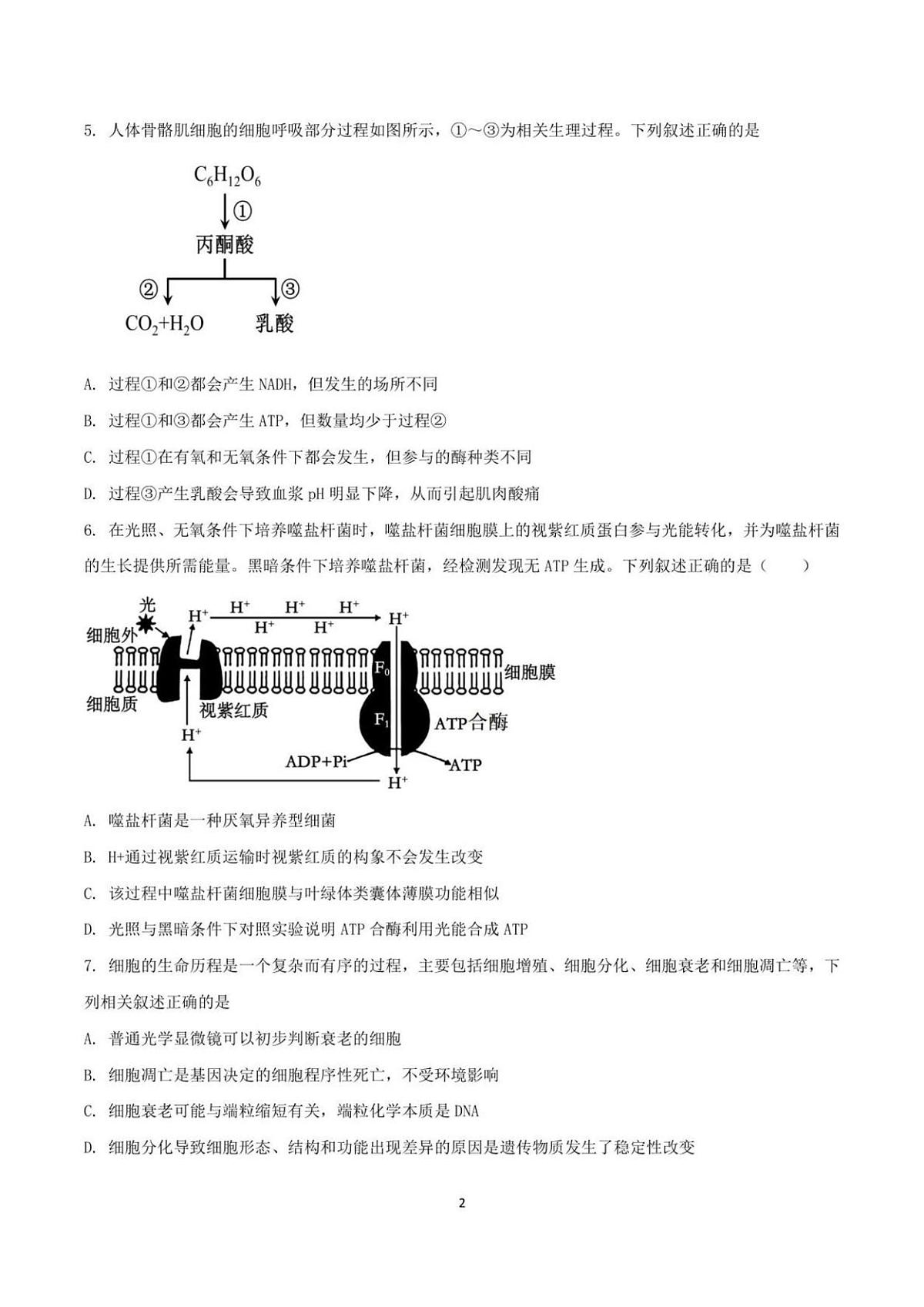 福建省宁德市闽东三校2025-2026学年高三上学期1月月考生物试题第2页