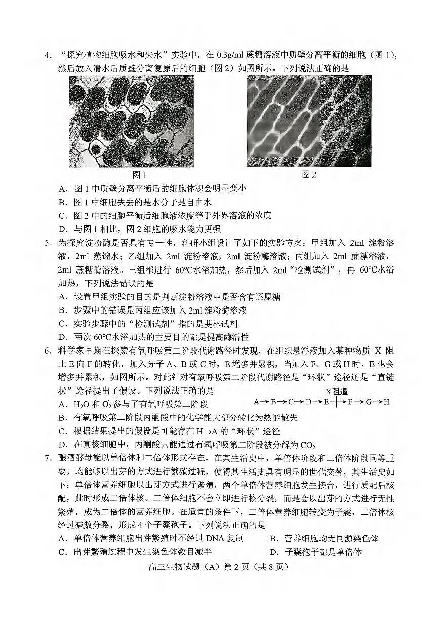 生物丨山东省菏泽市A类高中2026届高三上学期11月期中考试试卷及答案第2页