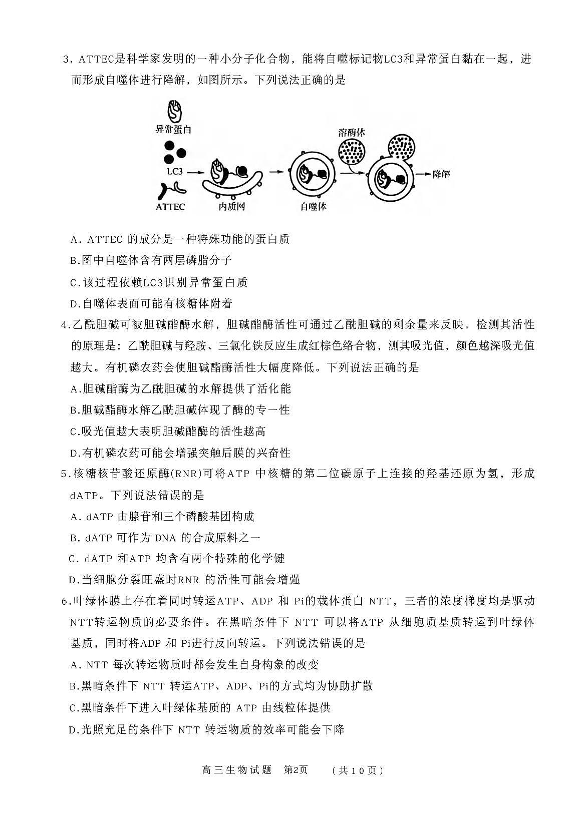 生物丨山东省名校联盟2026届高三上学期11月期中试卷及答案第2页