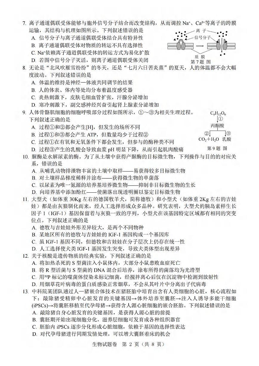 生物丨浙江省温州市2026届高三上学期11月第一次适应性考试（温州一模）试卷及答案第2页