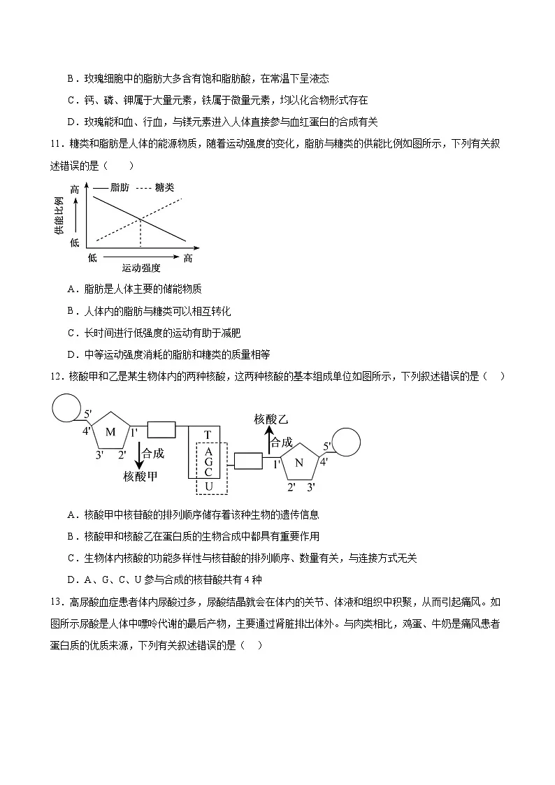 福建省泉州市四校联考2025-2026学年高一上学期11月期中考试生物试题（Word版附答案）第3页