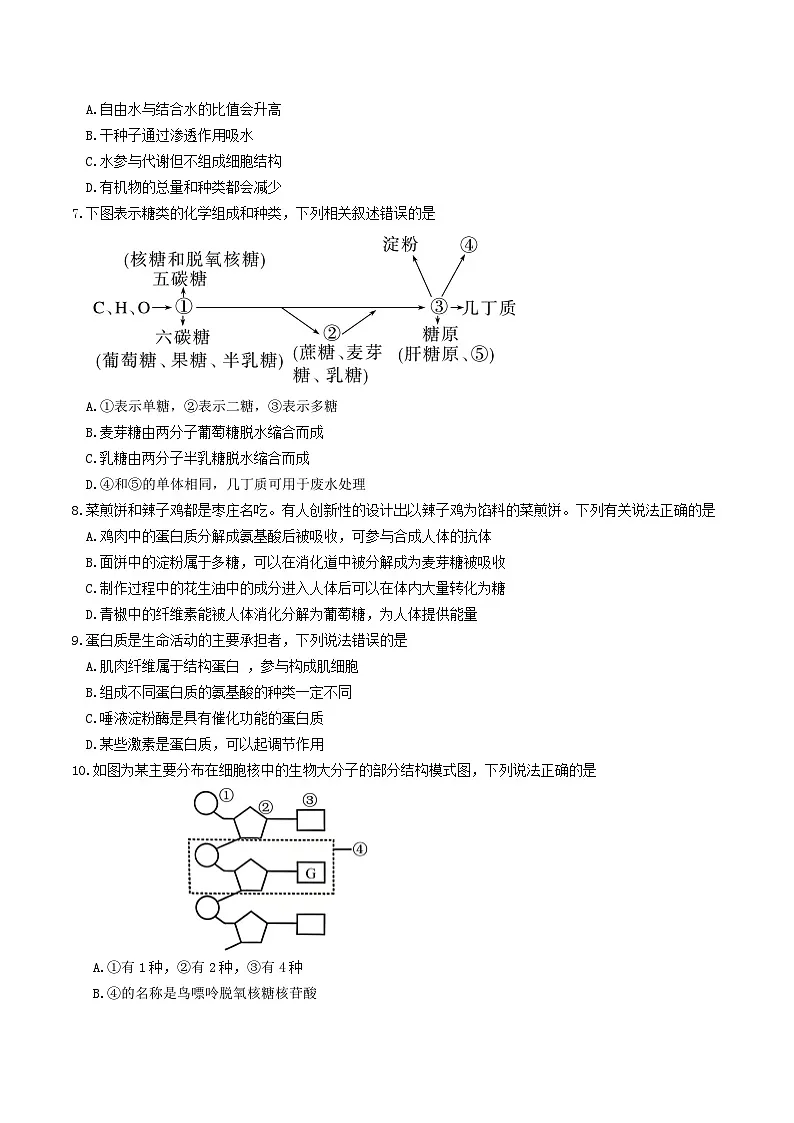 山东省枣庄市薛城区2025-2026学年高一上学期期中考试生物试题（Word版附答案）第2页