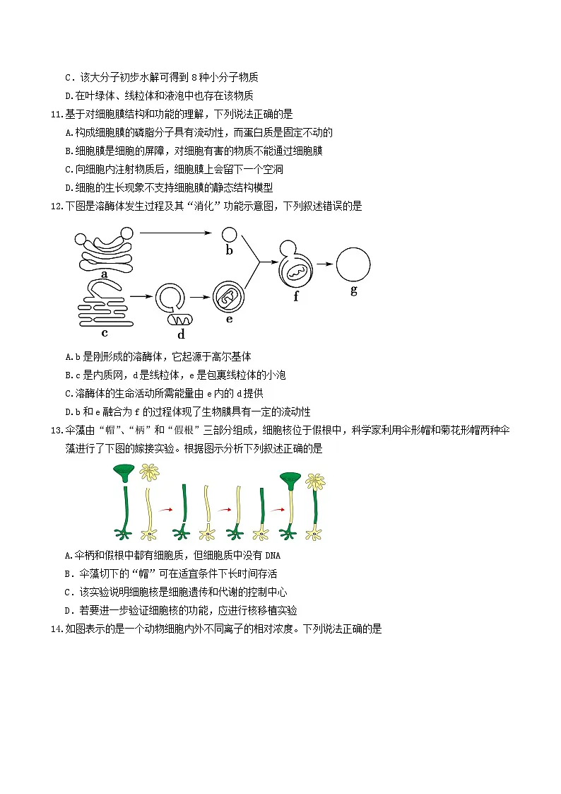 山东省枣庄市薛城区2025-2026学年高一上学期期中考试生物试题（Word版附答案）第3页