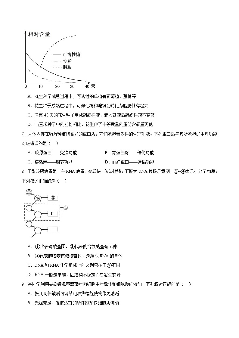 山西省太原市2025-2026学年高一上学期期中考试生物试题（Word版附答案）第2页