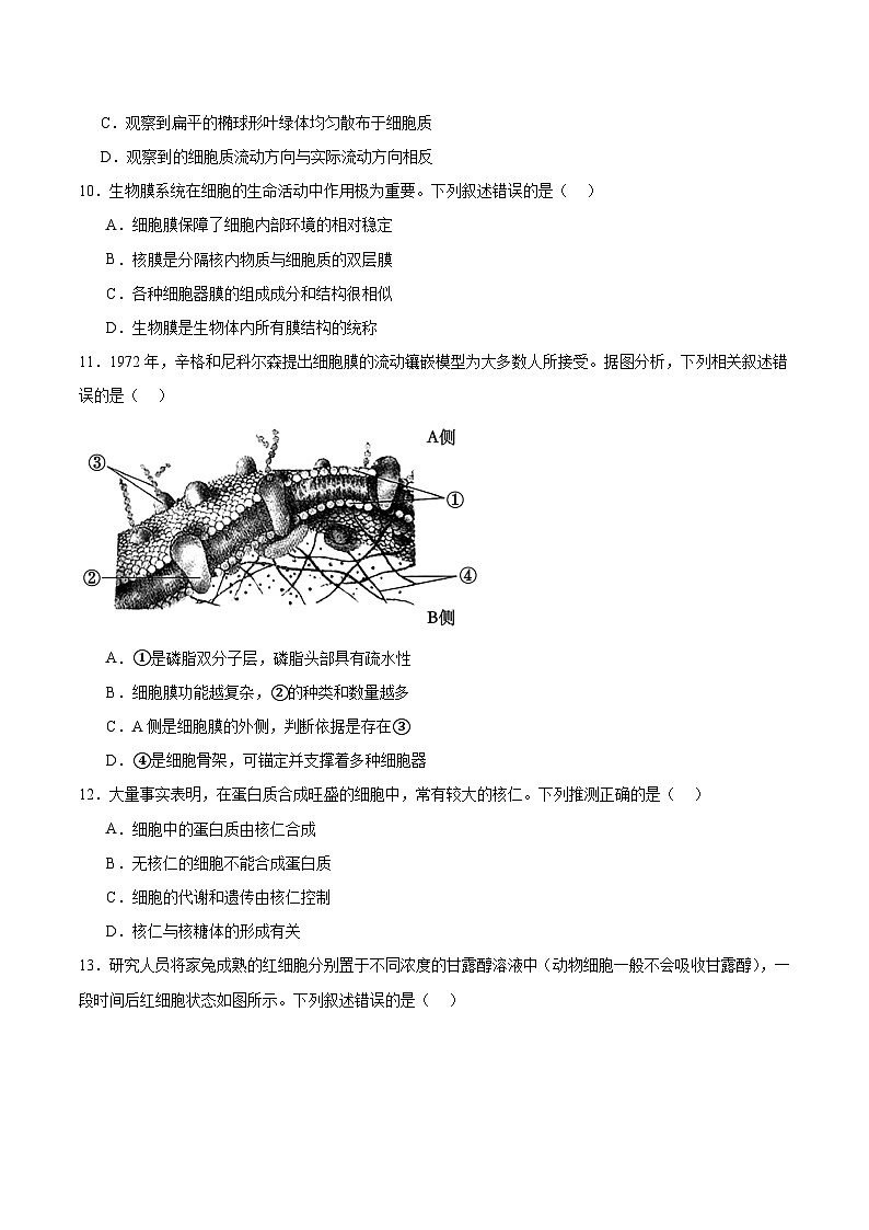 山西省太原市2025-2026学年高一上学期期中考试生物试题（Word版附答案）第3页