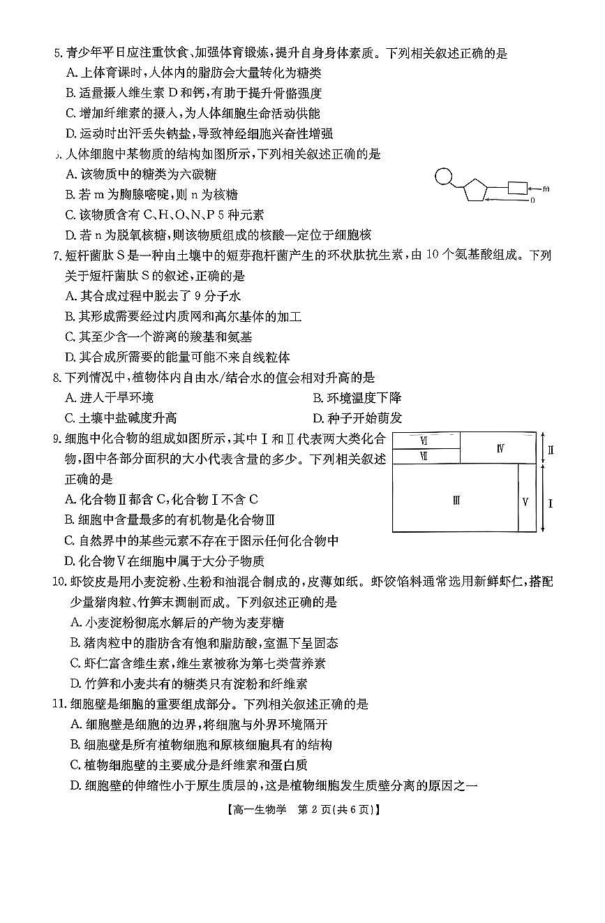 金太阳广东省2028届高一上学期12月联考（26-149A）生物试卷（含答案）第2页