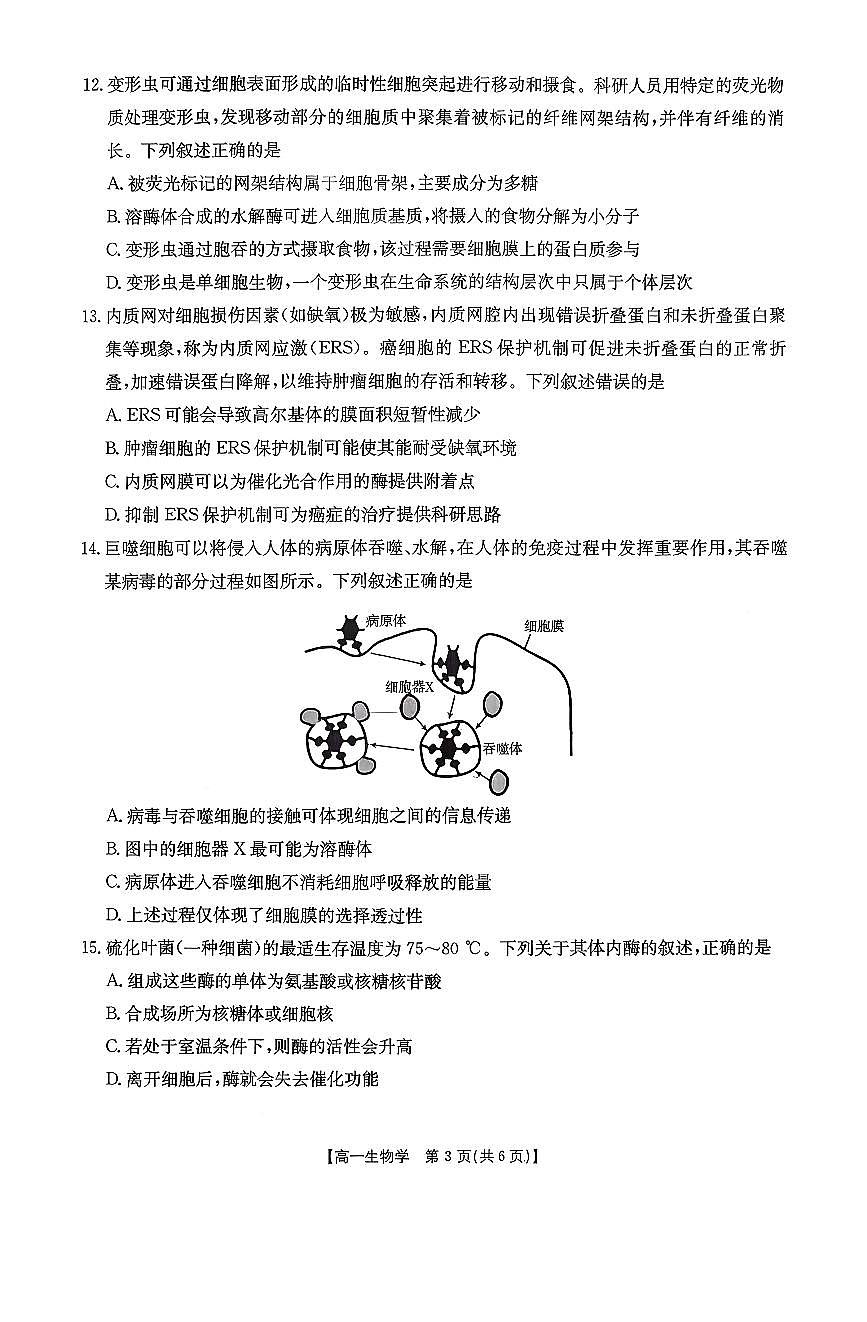 金太阳广东省2028届高一上学期12月联考（26-149A）生物试卷（含答案）第3页