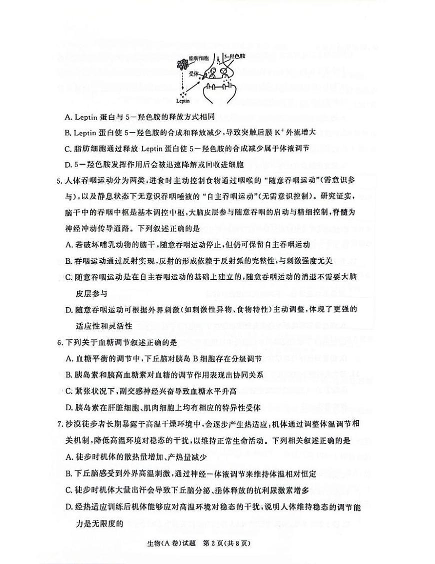 河南省青桐鸣大联考2025-2026学年高二上学期1月质量检测生物学（A卷）（含答案）第2页