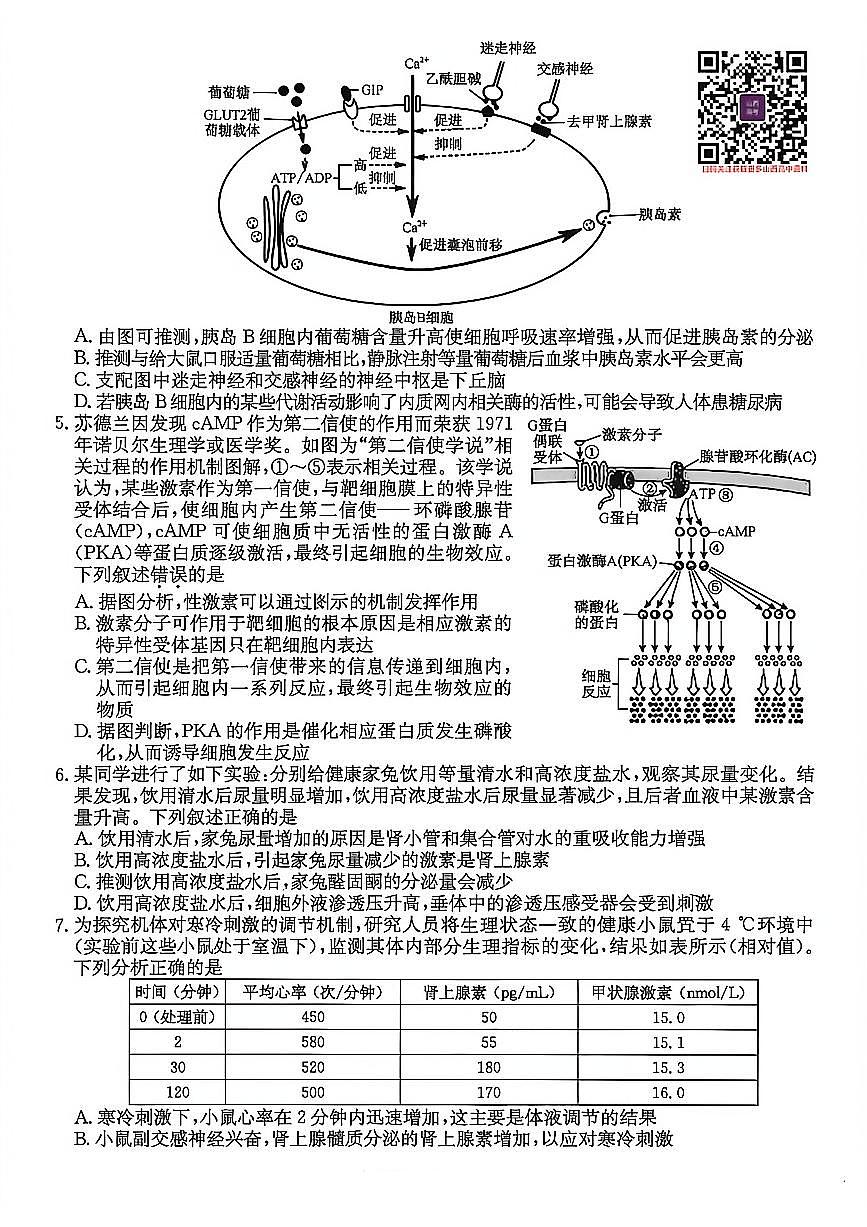 山西省三晋卓越联盟25-26学年高二上学期12月冲刺卷生物试卷（含答案）第2页