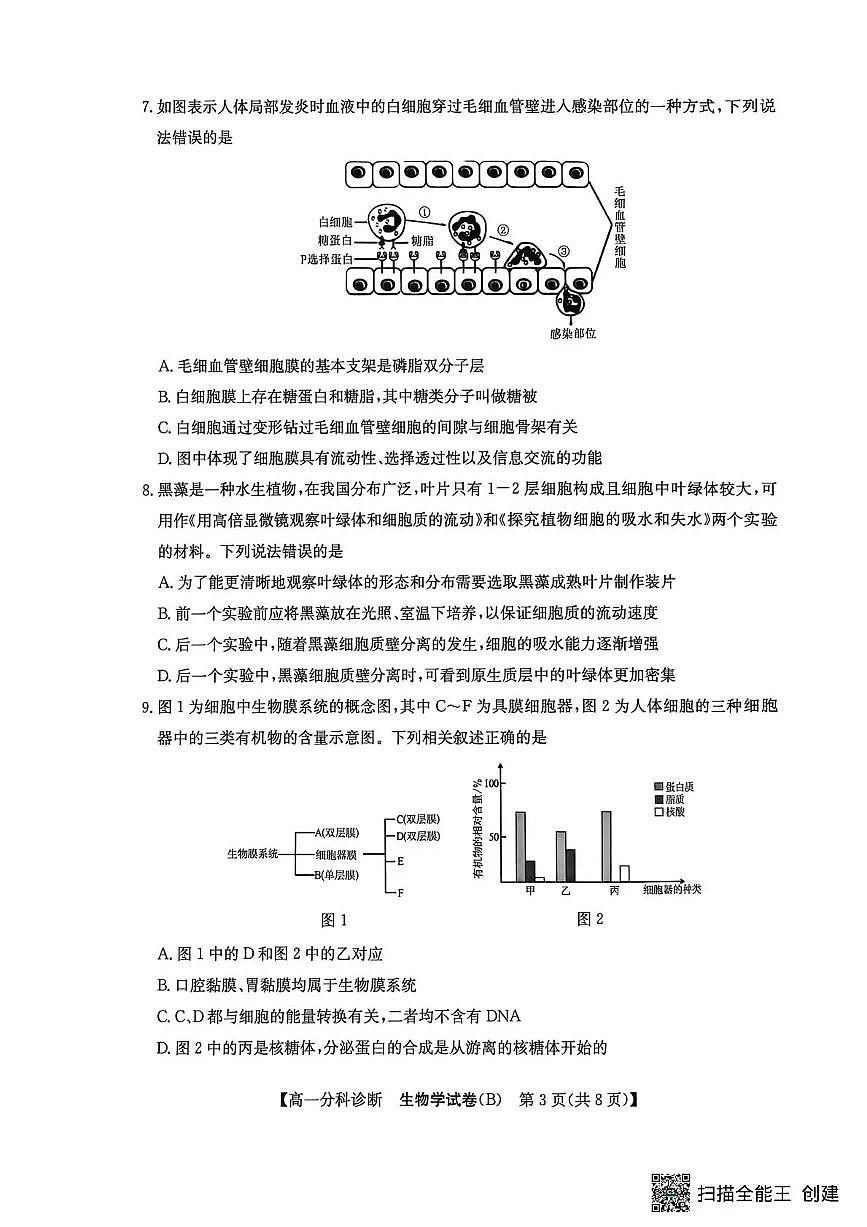 安徽省江南十校2025-2026学年高一上学期12月联考生物试卷B（含答案）第3页