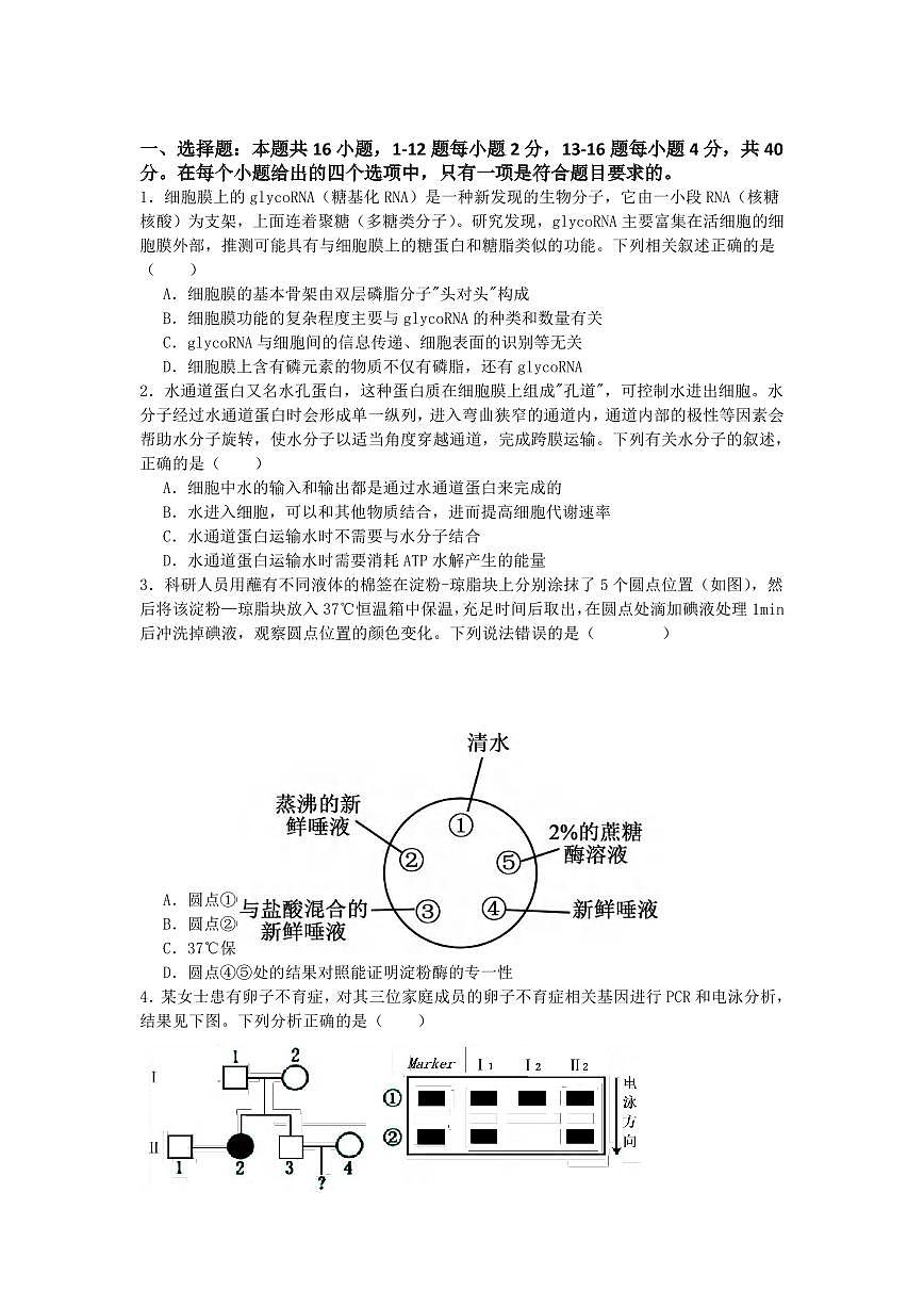 生物丨广东省惠州市实验中学2026届高三上学期12月阶段性检测试卷及答案第1页