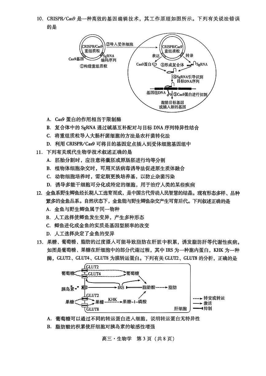 生物丨广东省汕尾市2026届2026届高三上学期12月综合测试（一）试卷及答案第3页