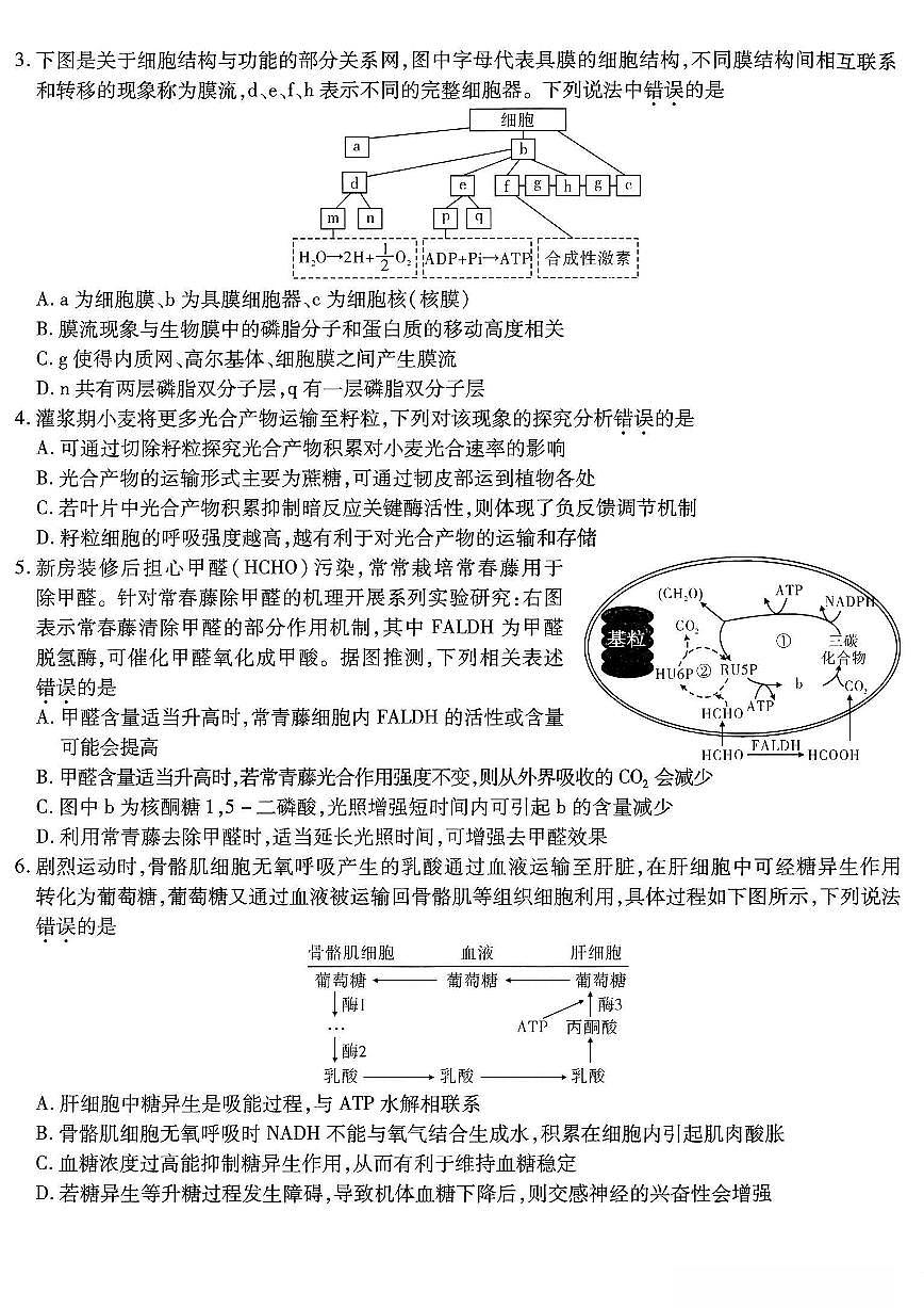生物-重庆市南开中学高2026届高三年级上学期1月第五次质量检测试题及答案第2页