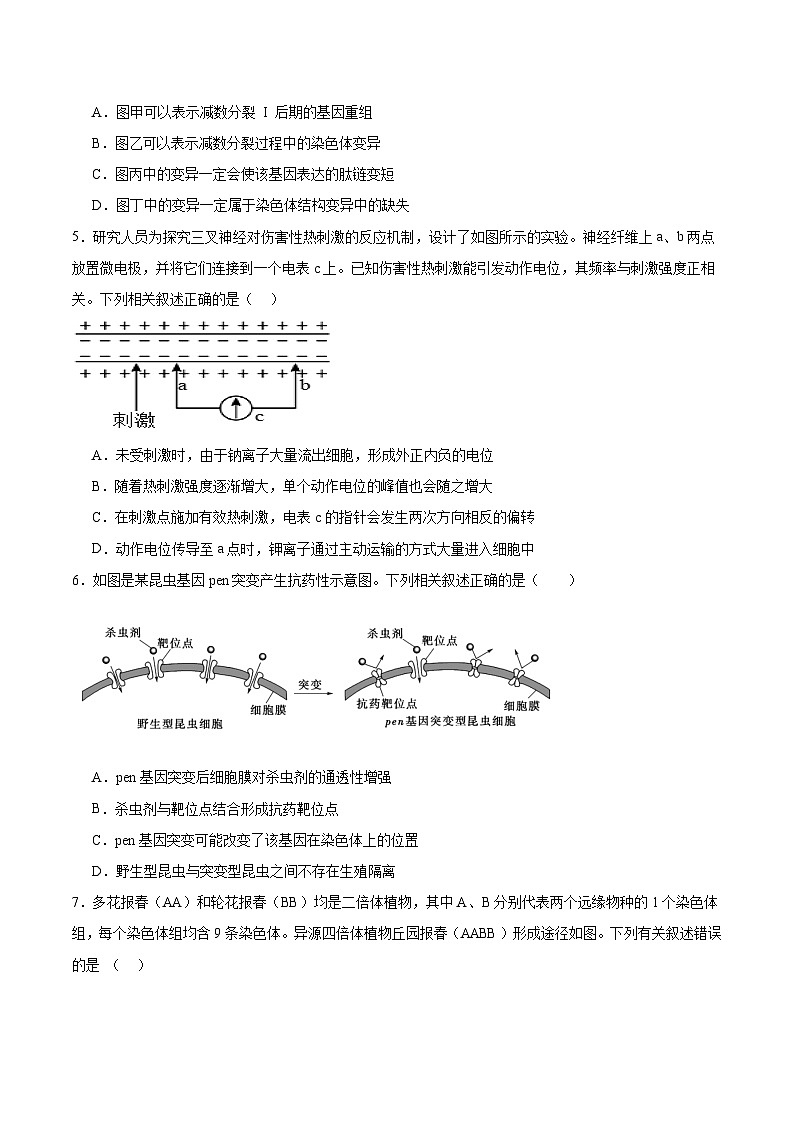 福建省莆田第一中学2025-2026学年高二上学期期中考试生物试题（Word版附答案）（选考）第2页