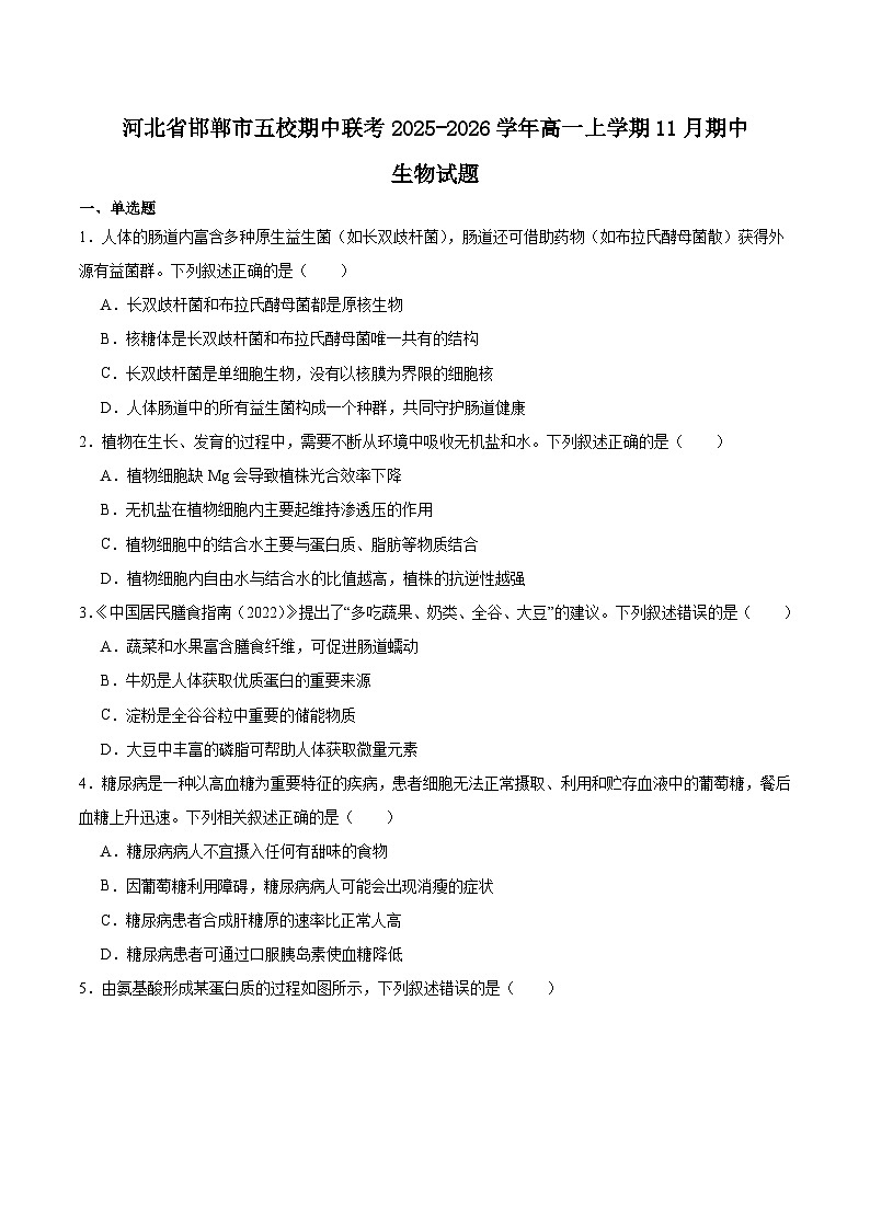 河北省邯郸市五校2025-2026学年高一上学期期中考试生物试题（Word版附答案）第1页