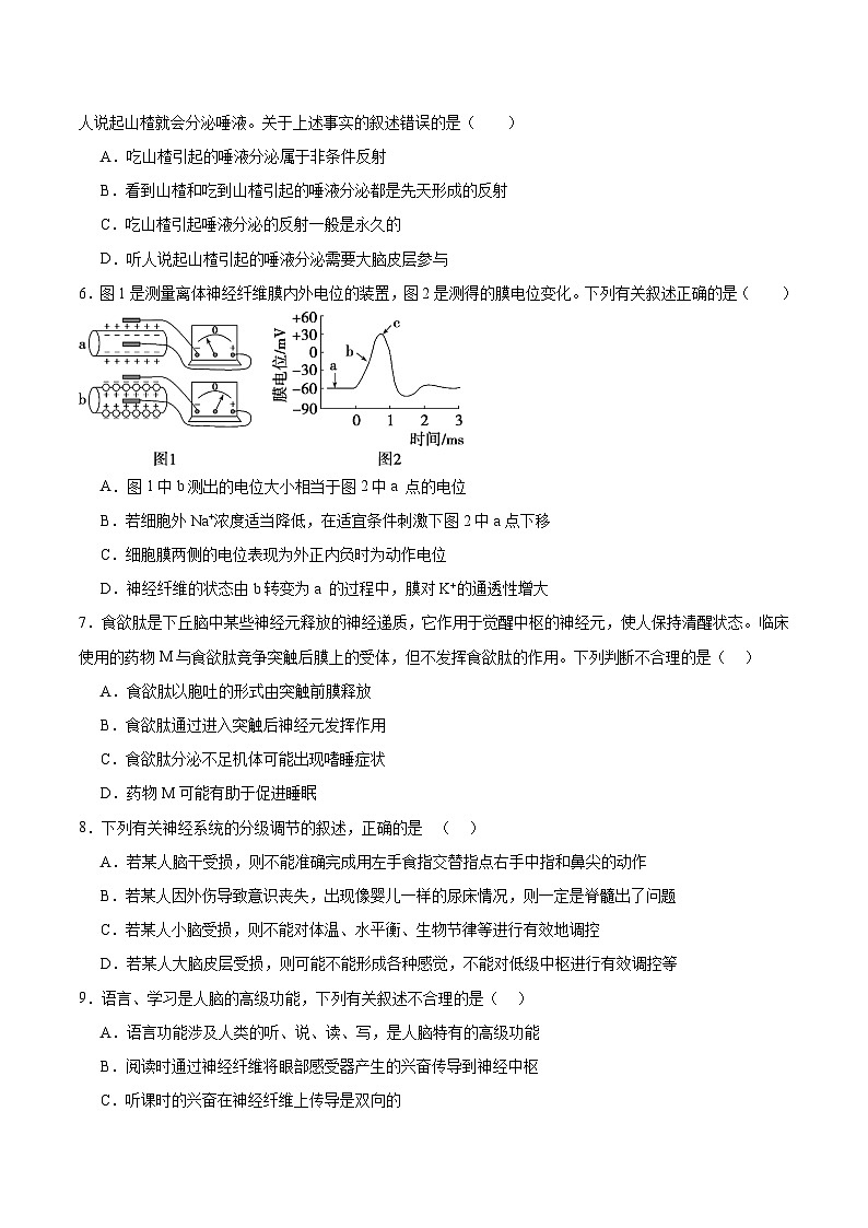 河北省石家庄市第一中学2025-2026学年高二上学期期中考试生物试题（Word版附答案）第2页