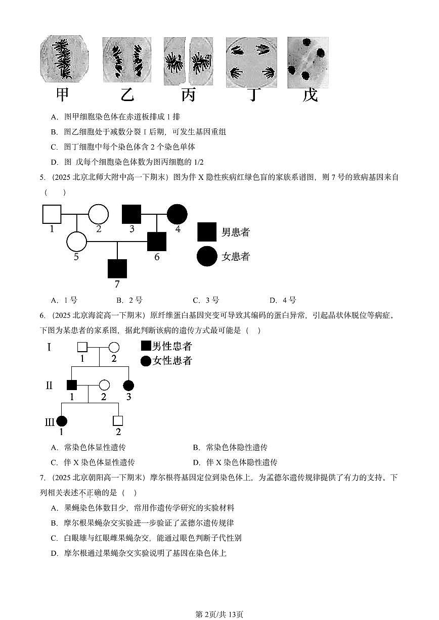 2025北京重点校高一（下）期末生物汇编：基因和染色体的关系章节综合第2页