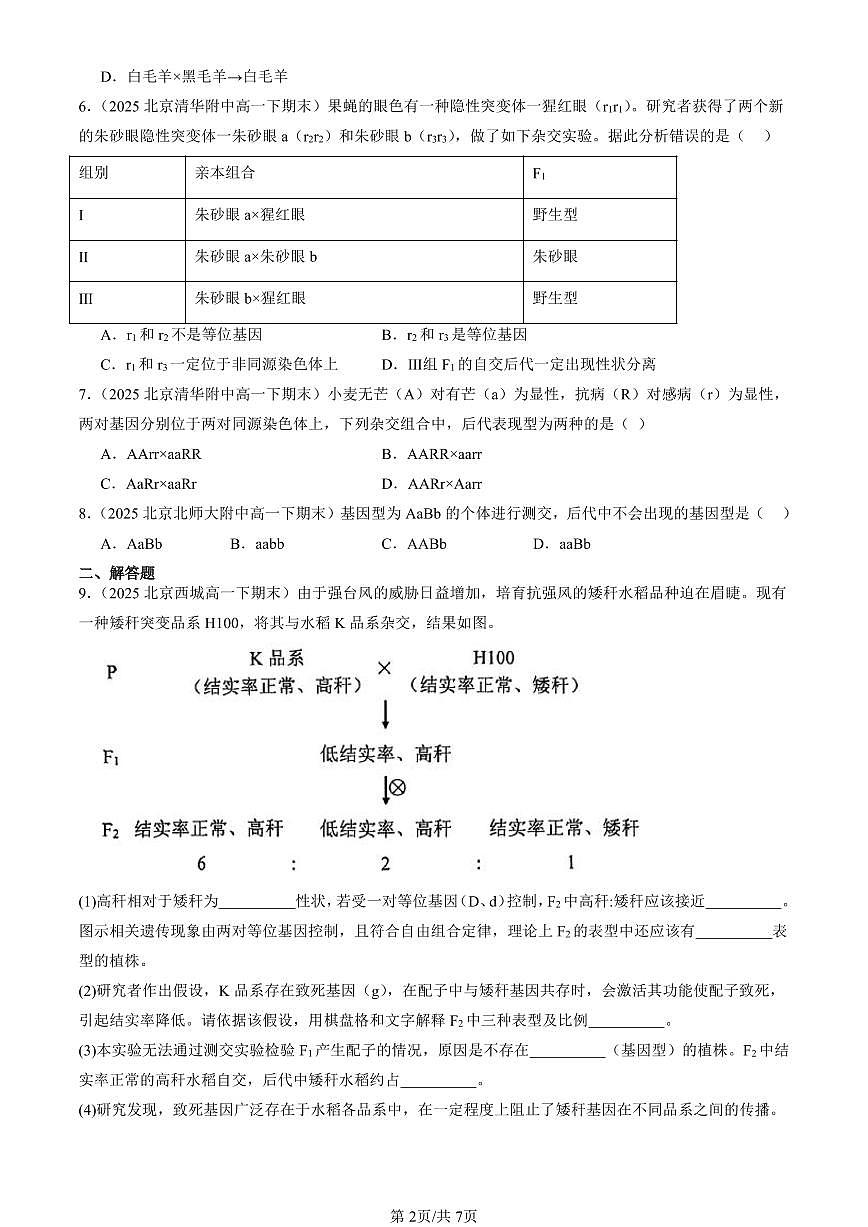 2025北京重点校高一（下）期末生物汇编：孟德尔的豌豆杂交实验（二）第2页