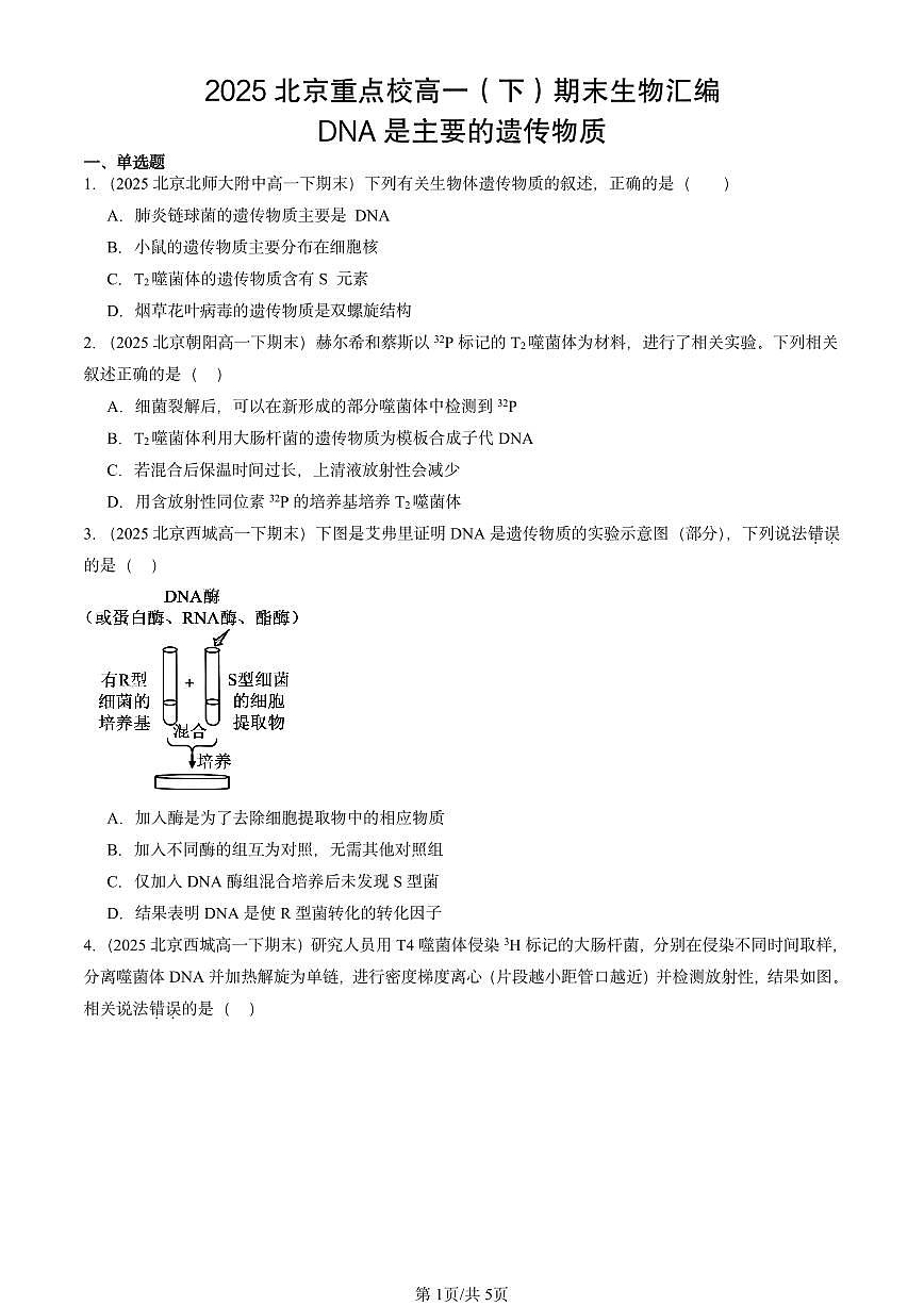 2025北京重点校高一（下）期末生物汇编：DNA是主要的遗传物质第1页