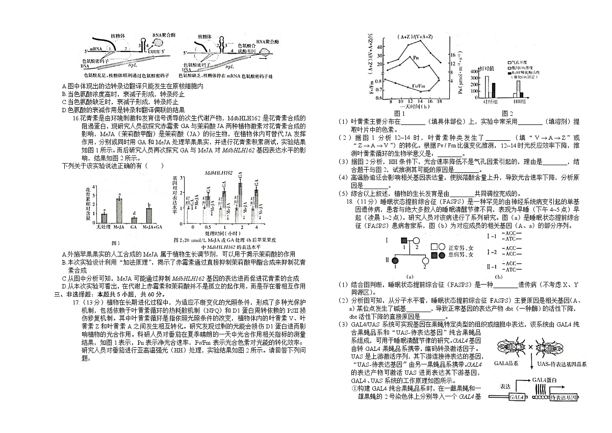 高三生物第3页