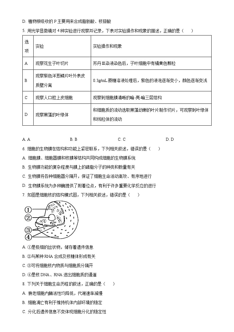 福建省南平市高一上学期期末考试生物试题（原卷版）-A4第2页