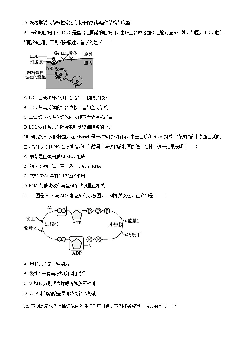 福建省南平市高一上学期期末考试生物试题（原卷版）-A4第3页