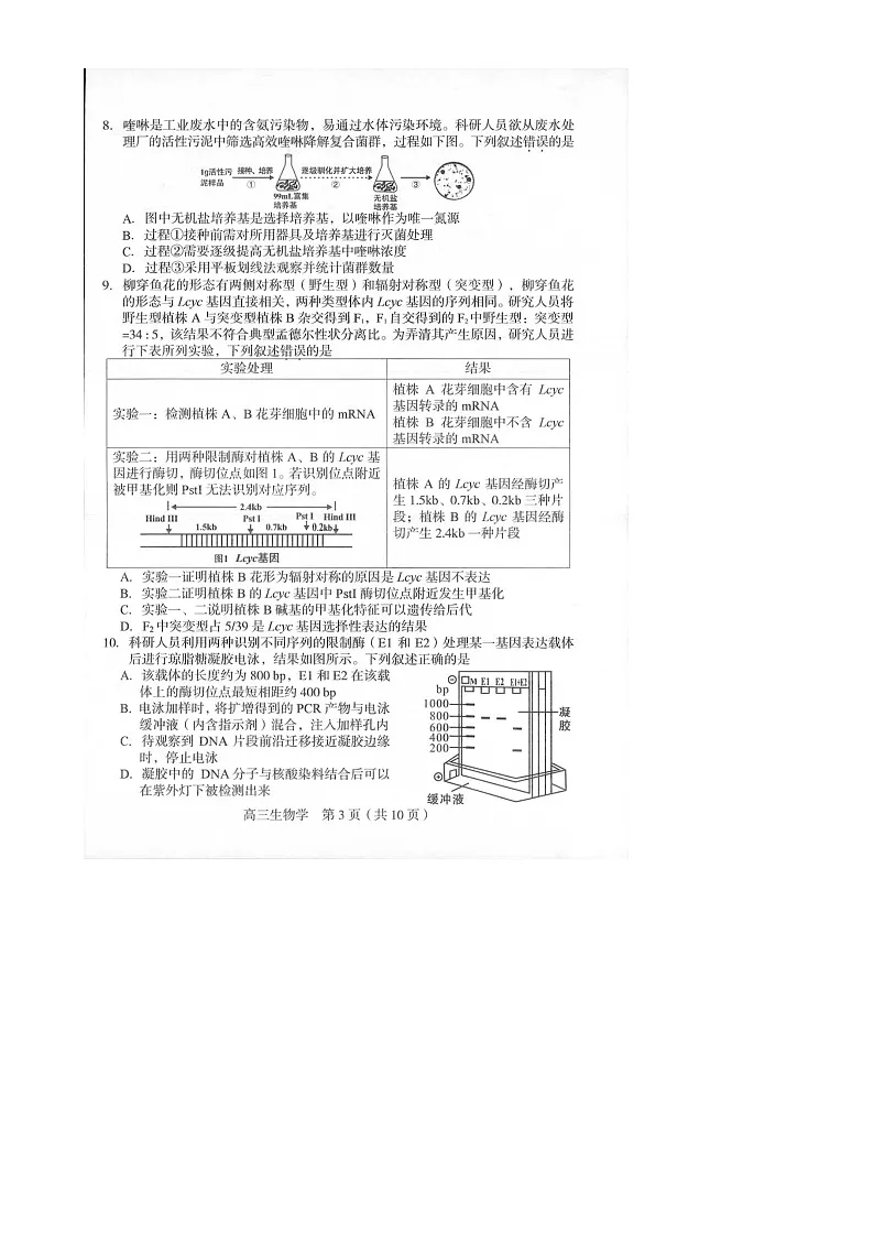 2025届福建省龙岩市高三下学期高中毕业班3月教学质量检测生物试题-A4第2页