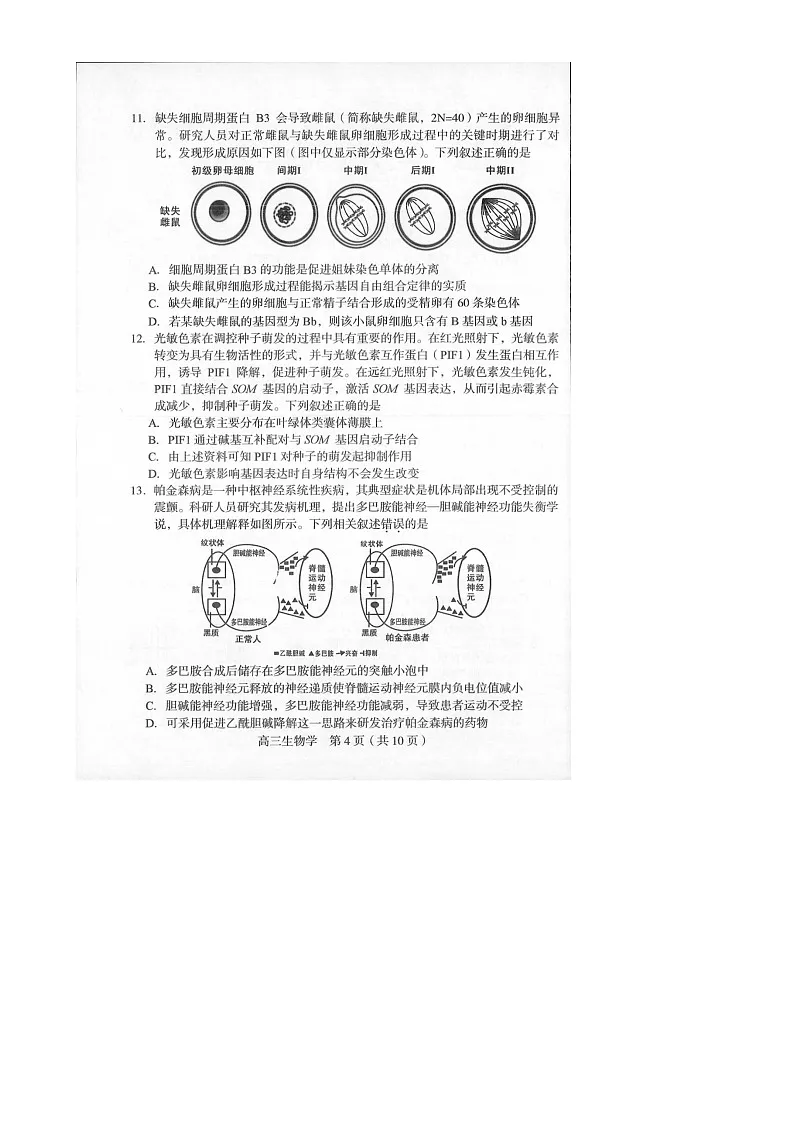 2025届福建省龙岩市高三下学期高中毕业班3月教学质量检测生物试题-A4第3页