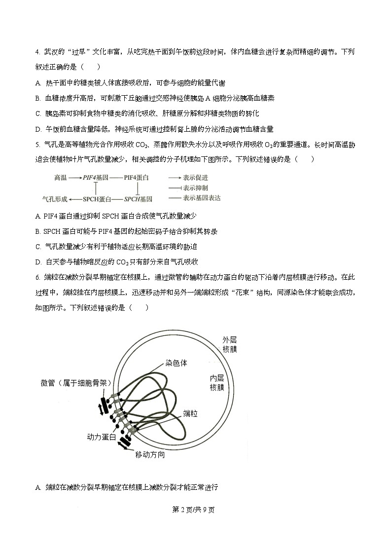 湖北省部分学校2026届高三上学期12月检测训练生物试题（原卷版）第2页