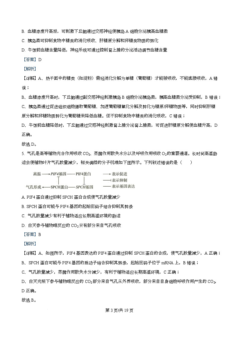 湖北省部分学校2026届高三上学期12月检测训练生物试题 Word版含解析第3页