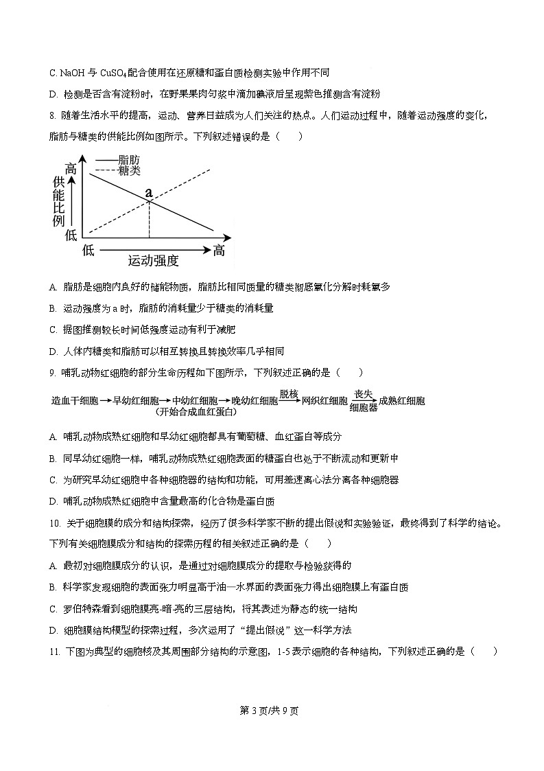 湖北省鄂东南联考2025-2026学年高一上学期12月月考生物试题（原卷版）第3页