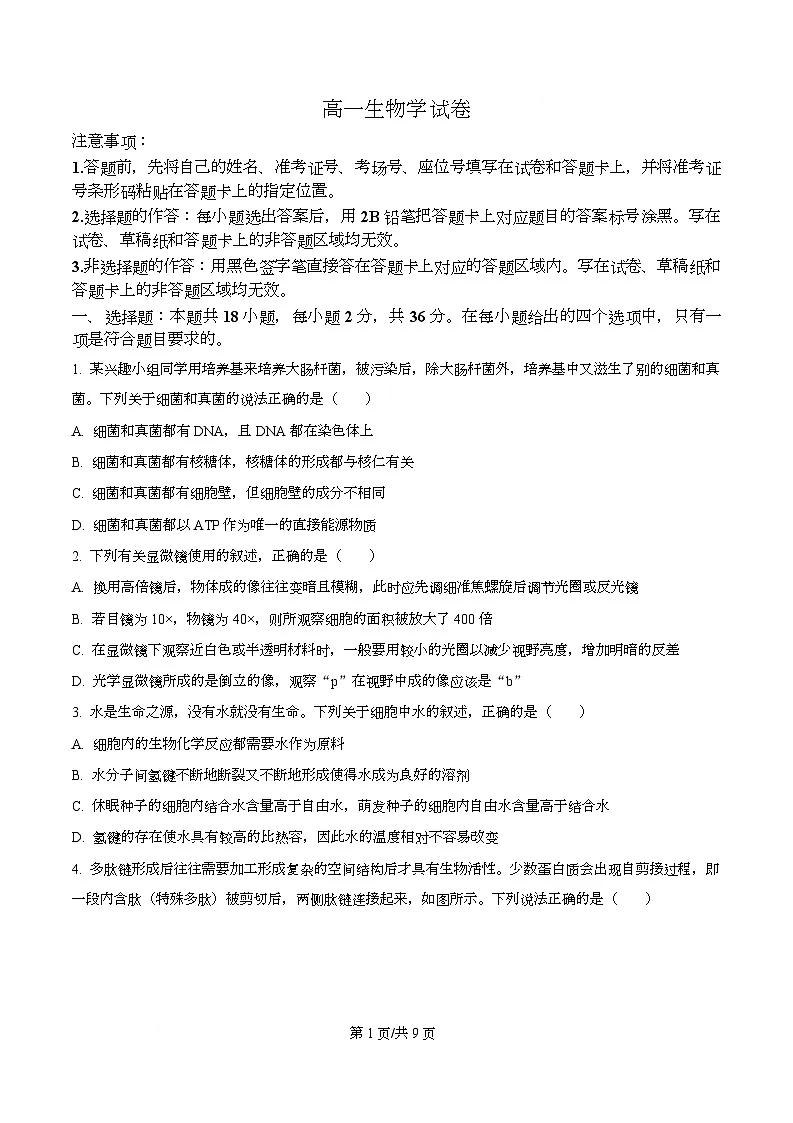 湖北省随州部分学校2025-2026学年高一上学期12月月考生物试题（原卷版）第1页